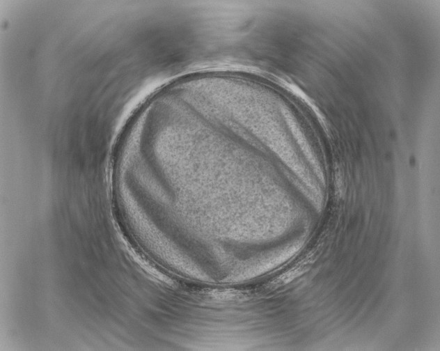 X0000058761416200510211646