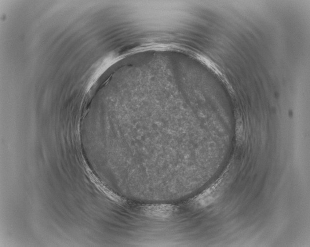 X0000058761417200510211646