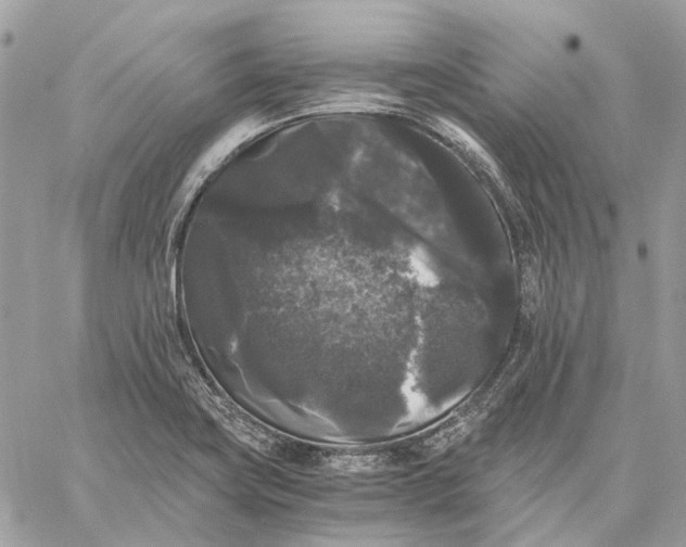 X0000058761419200510211646