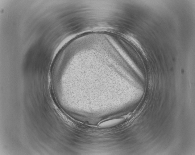 X0000058761420200510211646