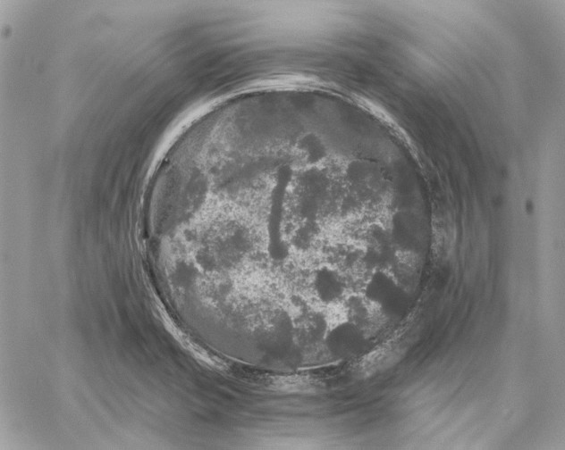 X0000058761421200510211646