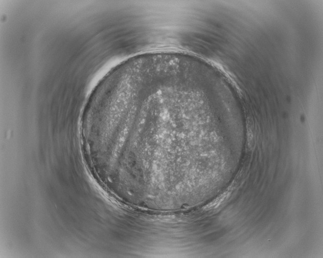 X0000058761422200510211646