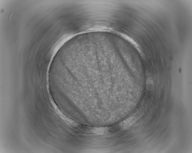 X0000058761423200510211646