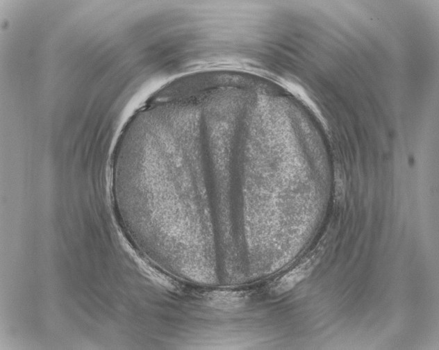 X0000058761424200510211646