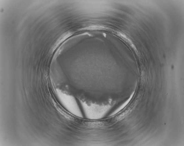 X0000058761425200510211646