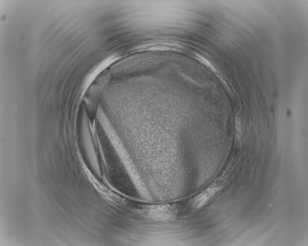 X0000058761426200510211646