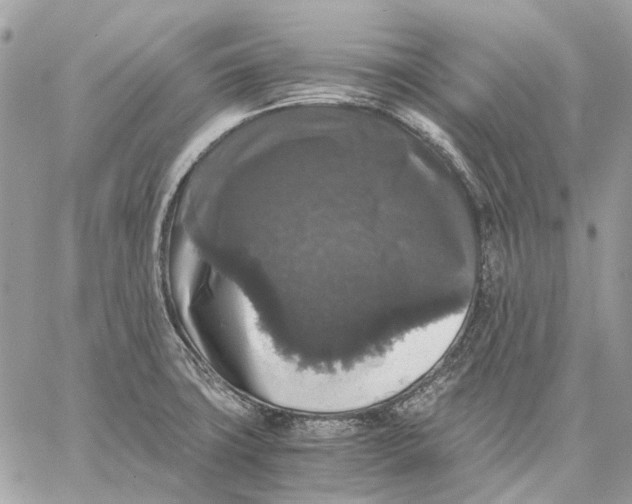 X0000058761427200510211646