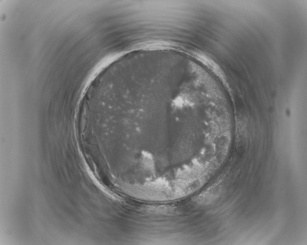 X0000058761429200510211646