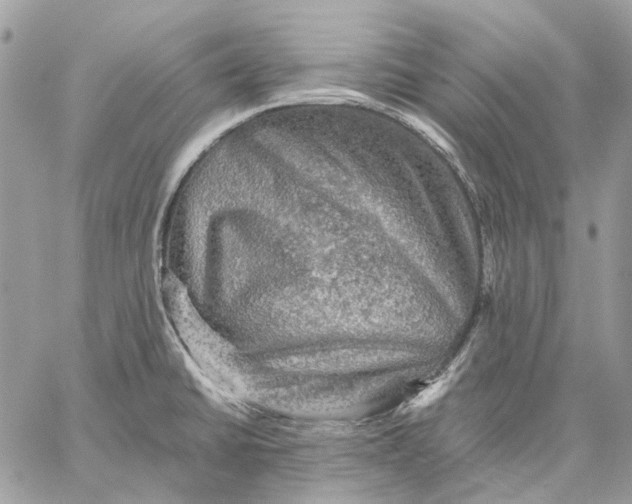 X0000058761430200510211646