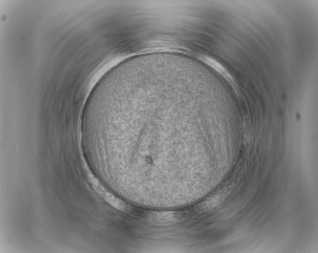 X0000058761431200510211646