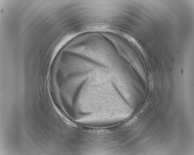 X0000058761432200510211646