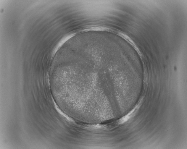 X0000058761433200510211646