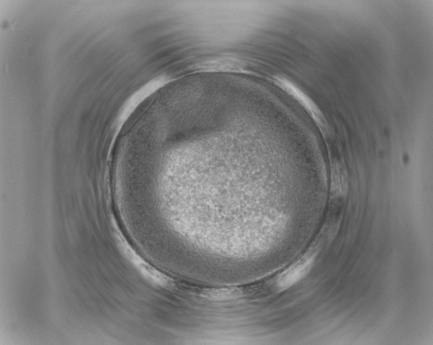 X0000058761434200510211646