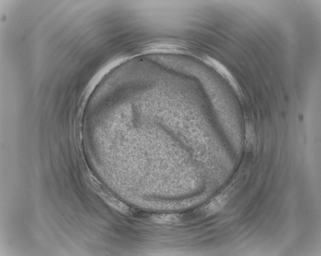 X0000058761435200510211646