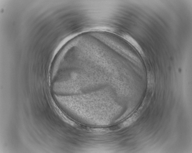 X0000058761436200510211646