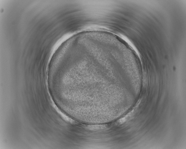 X0000058761437200510211646