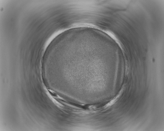 X0000058761438200510211646