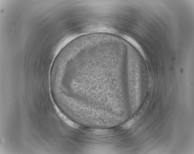 X0000058761439200510211646