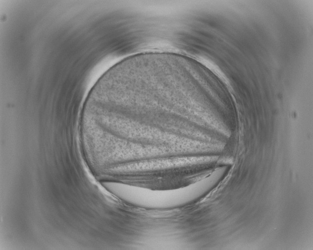 X0000058761440200510211646