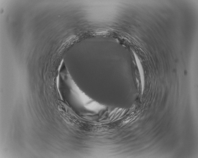 X0000058761441200510211646