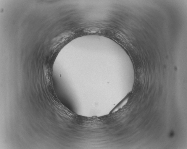 X0000058761442200510211646