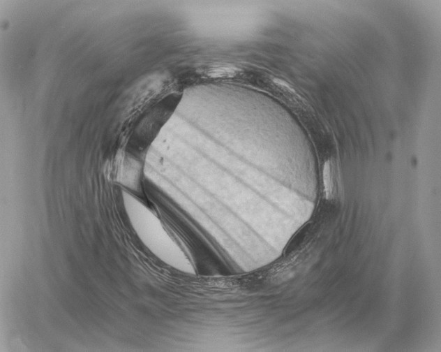 X0000058761443200510211646