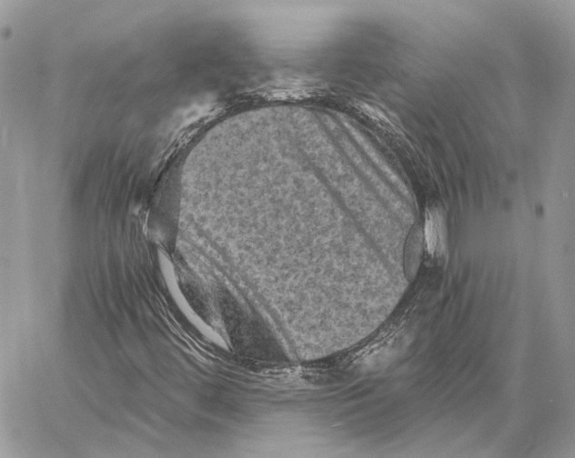 X0000058761444200510211646