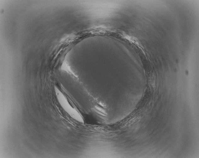 X0000058761445200510211646