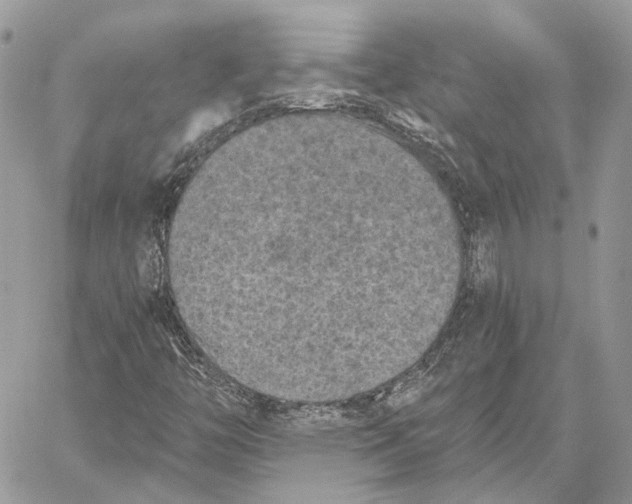 X0000058761446200510211646