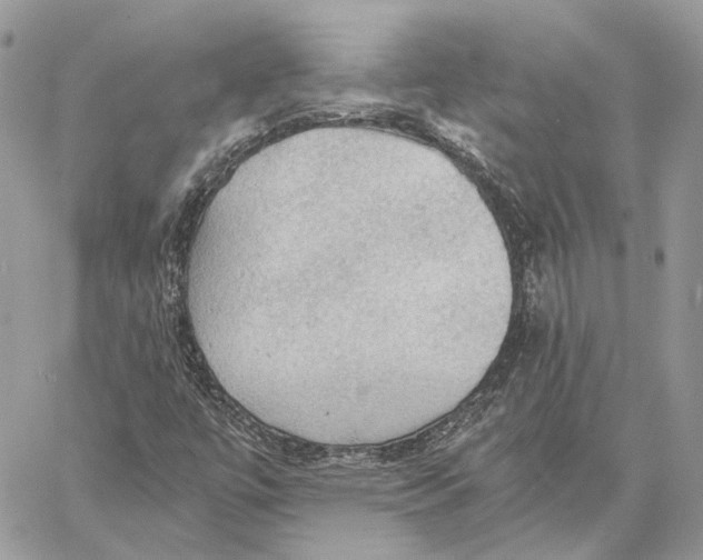 X0000058761447200510211646