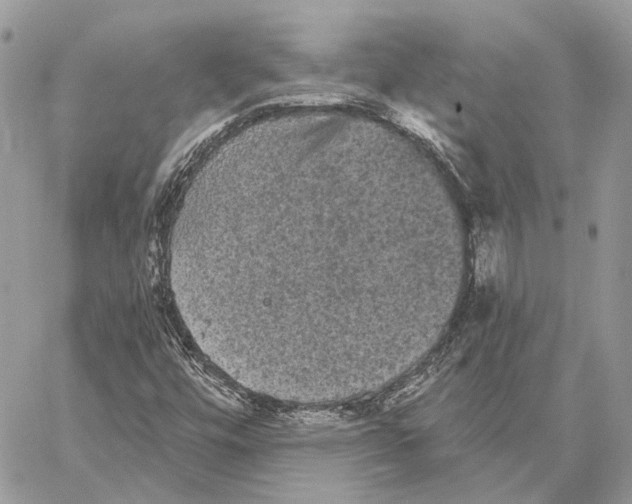 X0000058761448200510211646