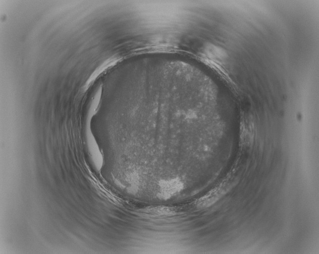 X0000058761450200510211645