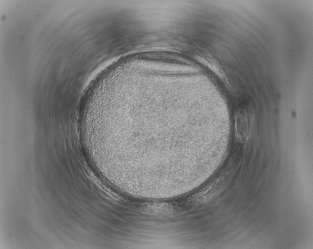 X0000058761452200510211645