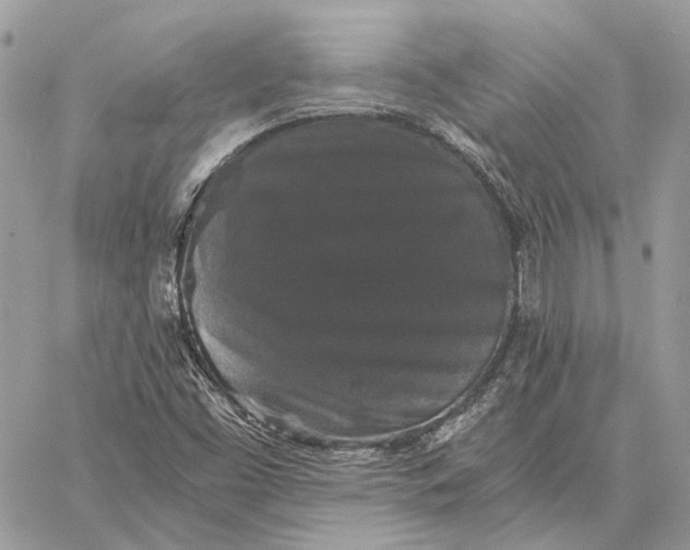 X0000058761453200510211645