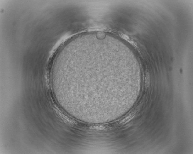 X0000058761454200510211645