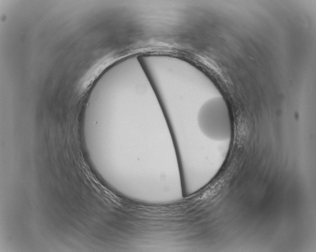 X0000058761455200510211645