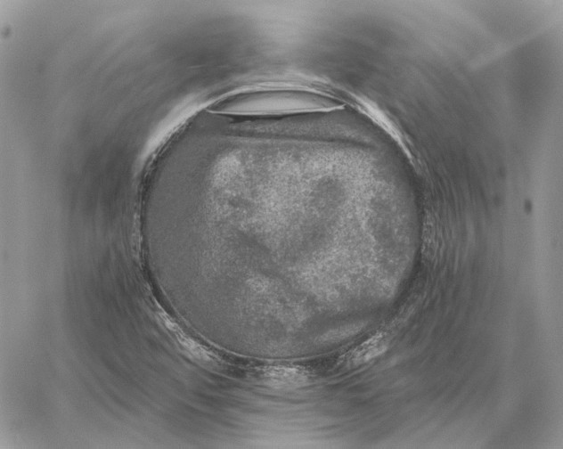 X0000058761456200510211645