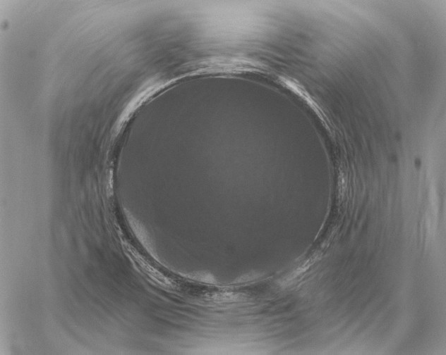 X0000058761459200510211645