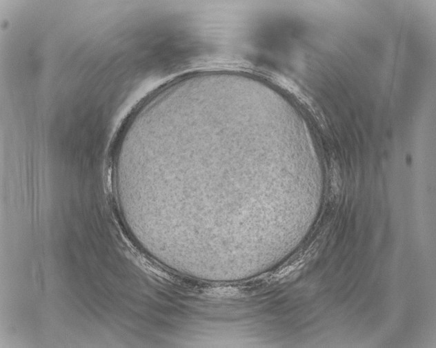 X0000058761462200510211645