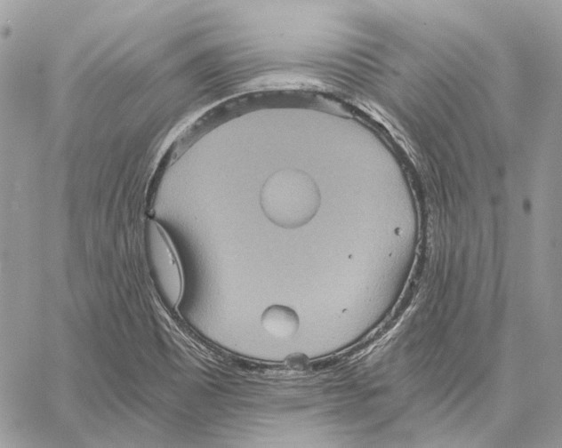 X0000058761465200510211645