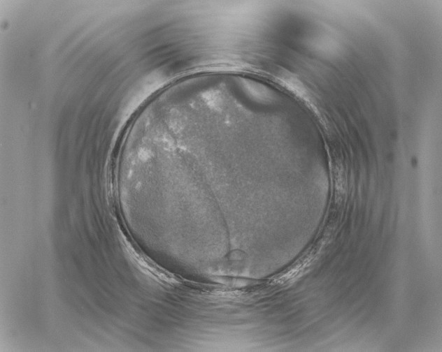 X0000058761466200510211645