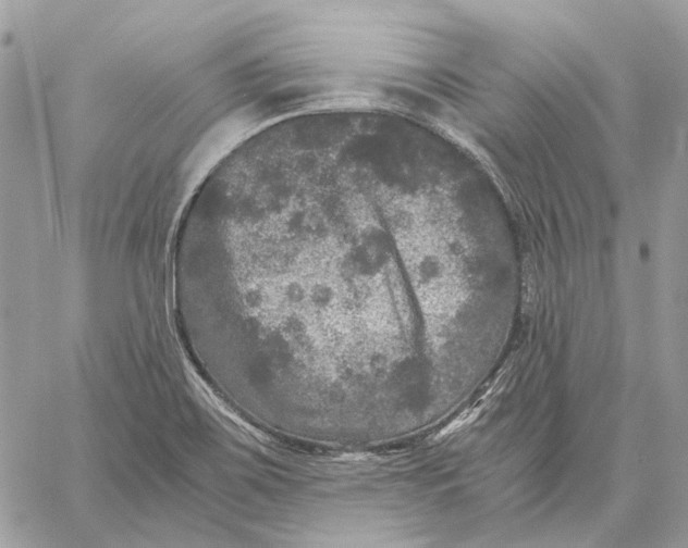 X0000058761467200510211645