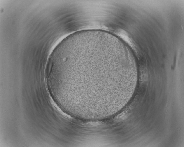 X0000058761468200510211645