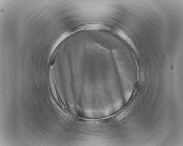 X0000058761473200510211645