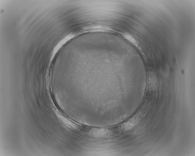 X0000058761474200510211645