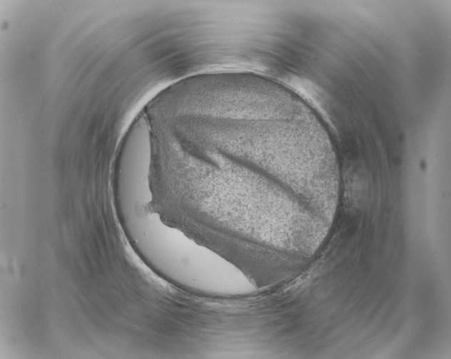 X0000058761476200510211645