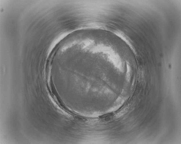 X0000058761477200510211645