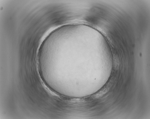 X0000058761478200510211645