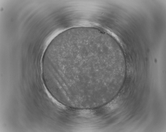 X0000058761479200510211645