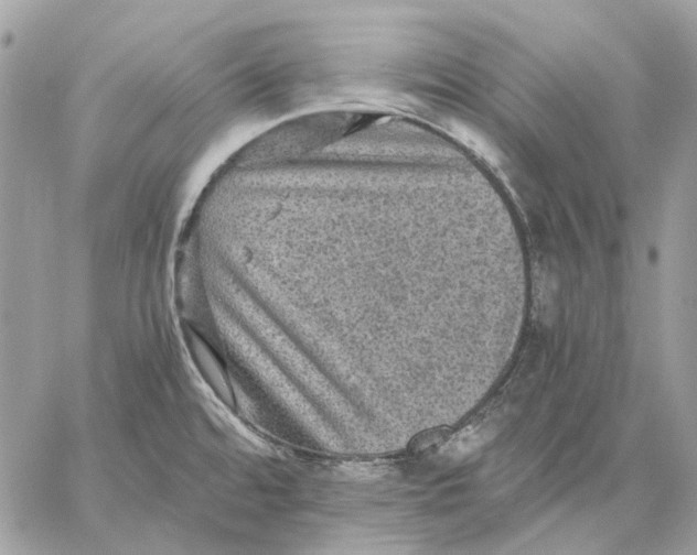 X0000058761480200510211645